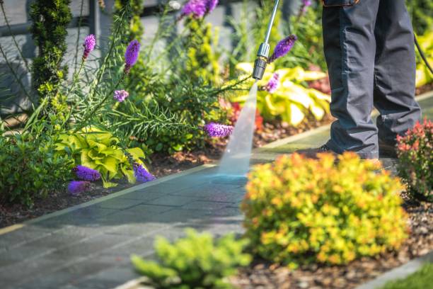 Best Sidewalk and Walkway Cleaning  in Philipsburg, PA